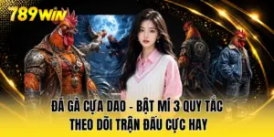 Đá Gà Cựa Dao - Bật Mí 3 Quy Tắc Theo Dõi Trận Đấu Cực Hay