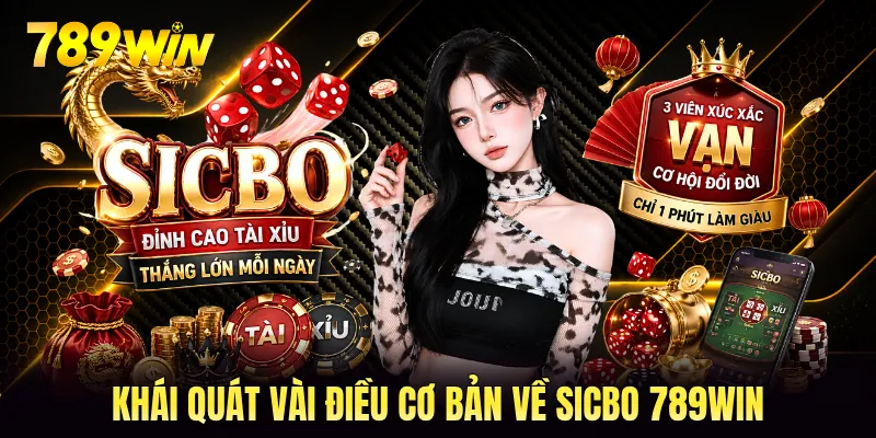 Khái quát vài điều cơ bản về sicbo 789WIN