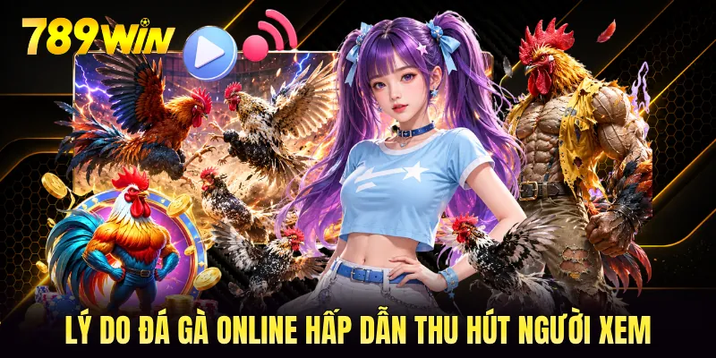 Lý do đá gà online hấp dẫn thu hút người xem