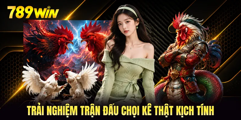 Trải nghiệm trận đấu chọi kê thật kịch tính